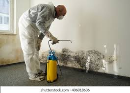 Why You Should Choose Our Mold Remediation Services in Valle Vista, CA